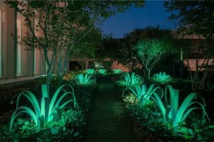 plantas que brilham no escuro